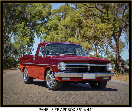 Aussie Icon Car Fabric Panel