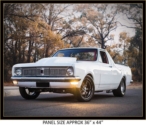 Aussie Icon Car Fabric Panel