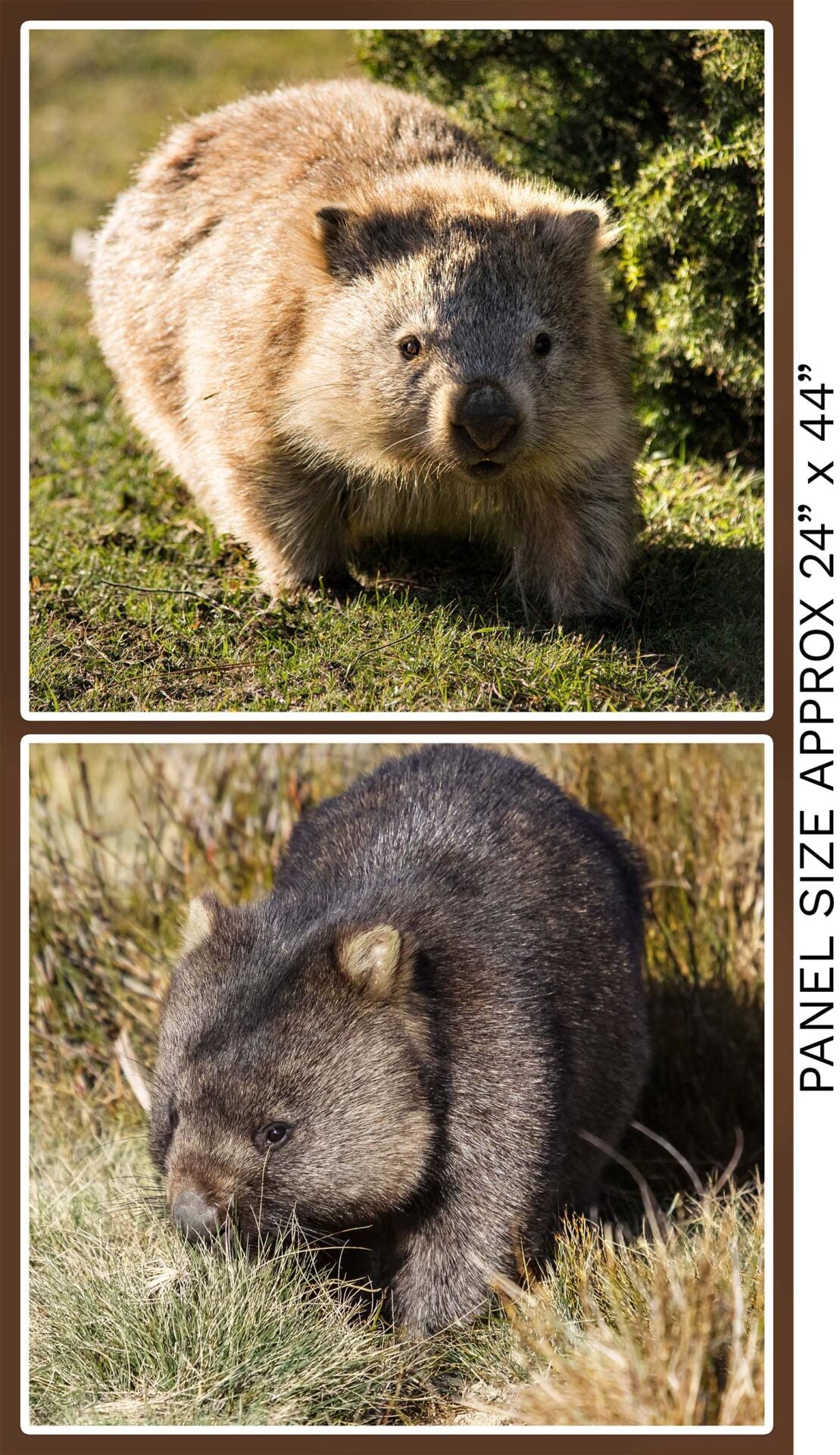 Wombat Fabric Panel