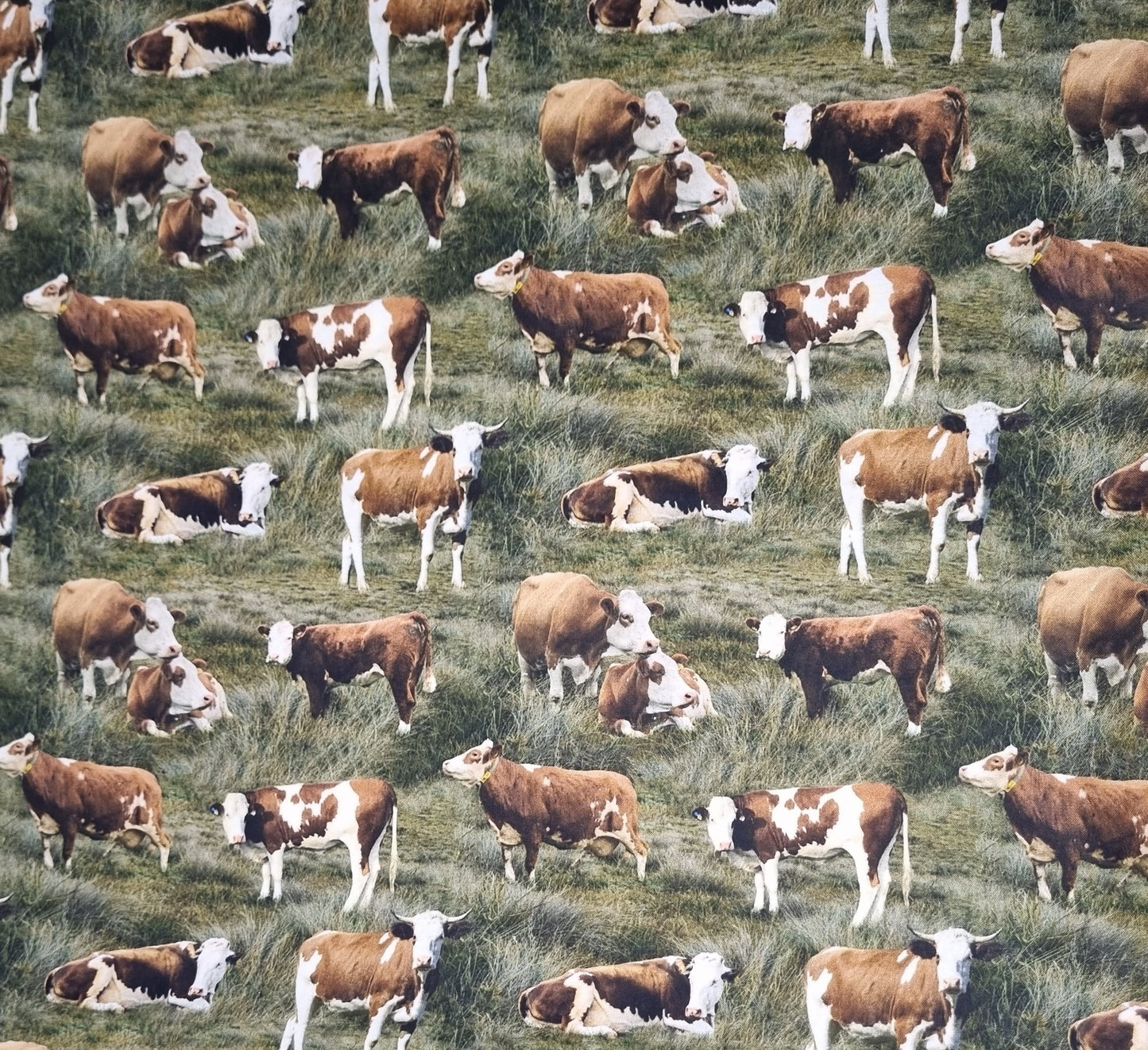 Cow Hereford Fabric