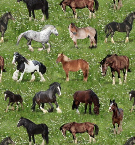 Horse fabric