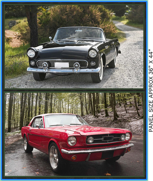 Vintage Car Fabric Panel