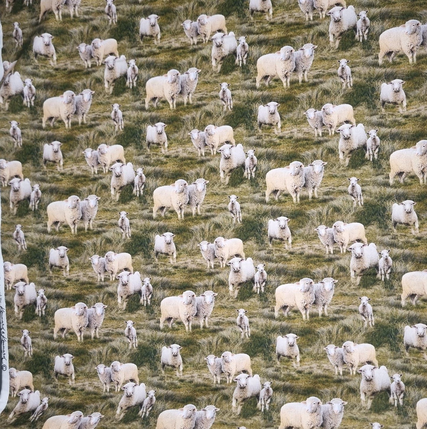 Sheep Fabric