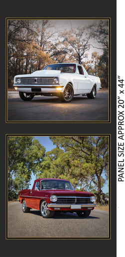 Aussie Icon Car Fabric Panel