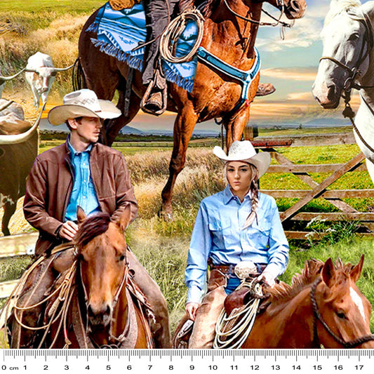 Big Sky Country Fabric