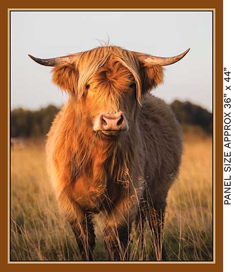 Highland Cow Fabric Panel