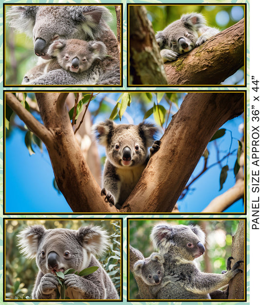 Koala Fabric Panel