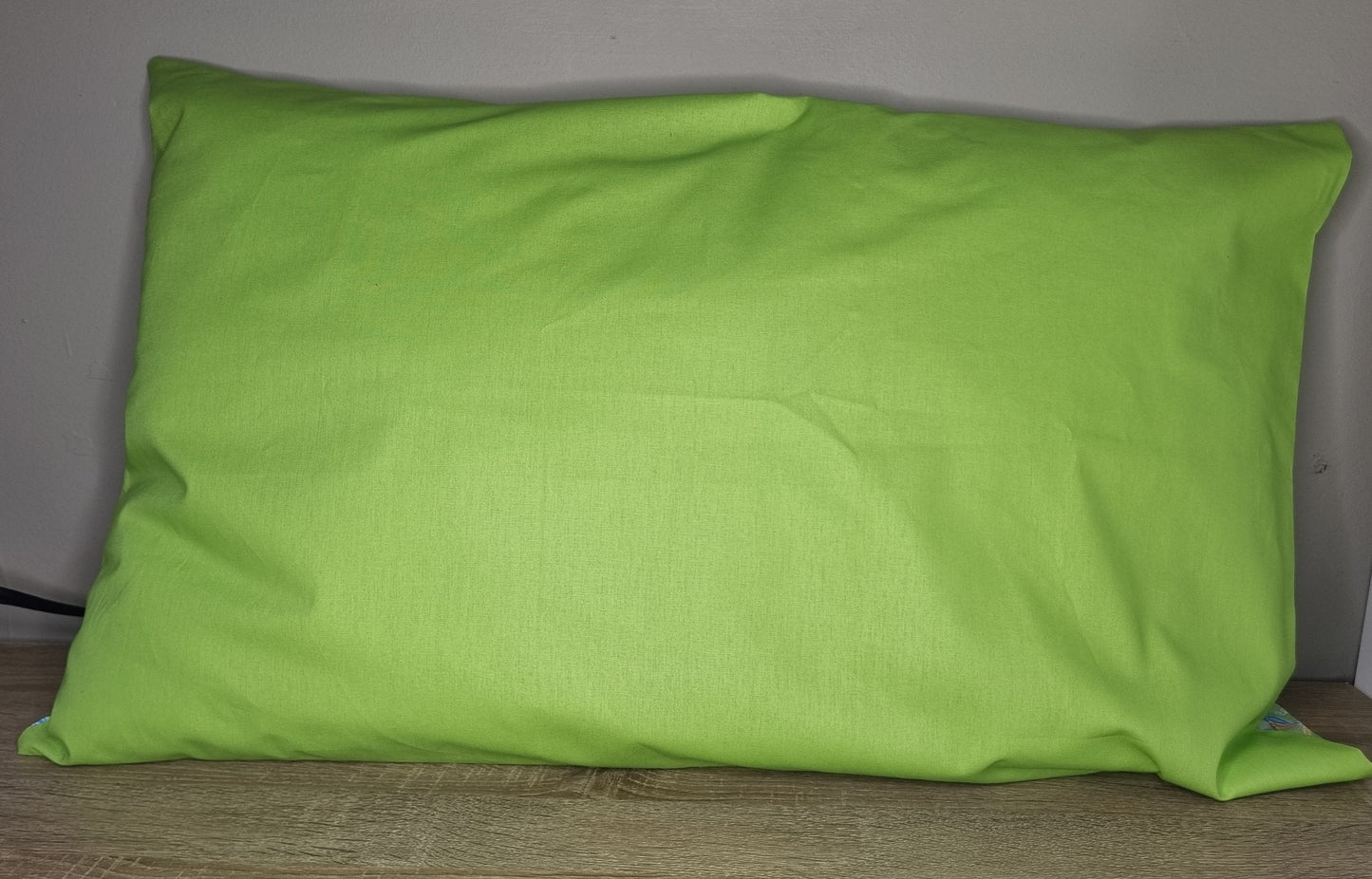 Dragonfly pillow case